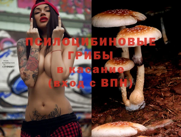 мяу мяу мука Алексеевка
