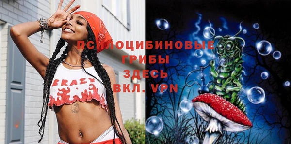 соль ск Алзамай