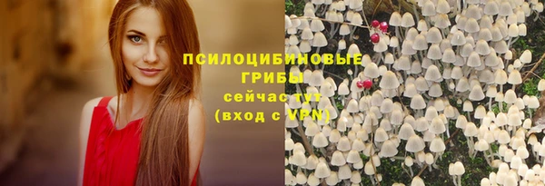 наркотики Алексин