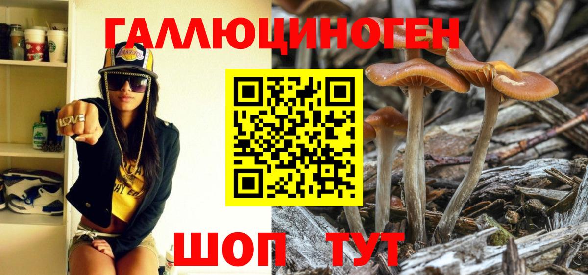 Псилоцибиновые грибы GOLDEN TEACHER  Вход с VPN  Новотроицк 