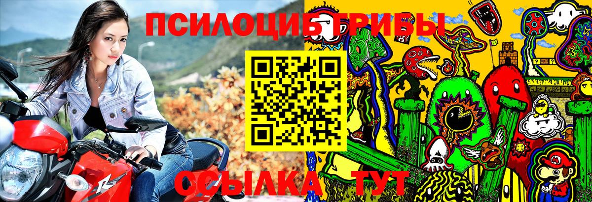 Галлюциногенные грибы MAGIC MUSHROOMS Новотроицк