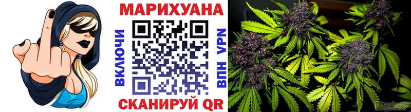 Каннабис SATIVA & INDICA  Новотроицк 